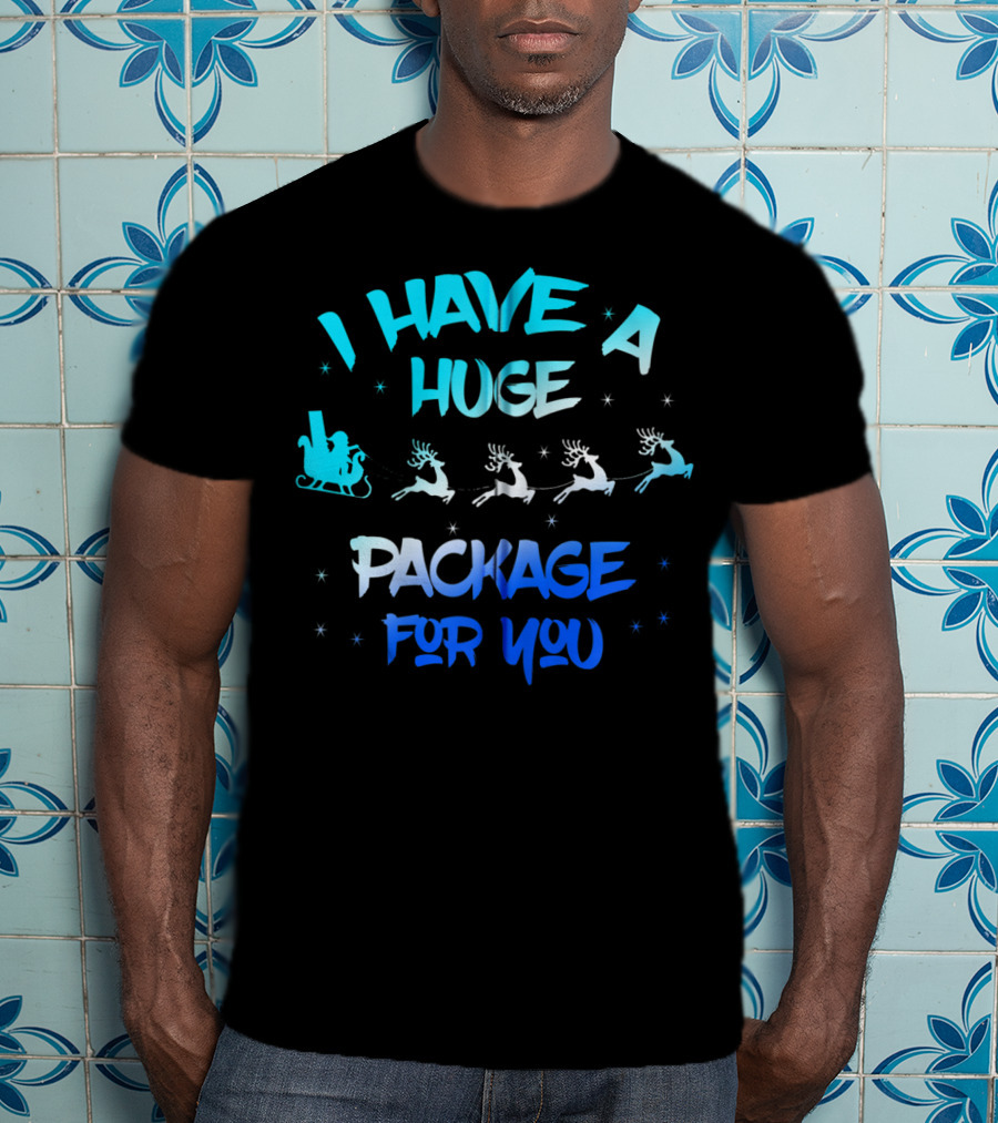 I Have A Huge Package For You Santa Reindeer Sleigh T-Shirt
