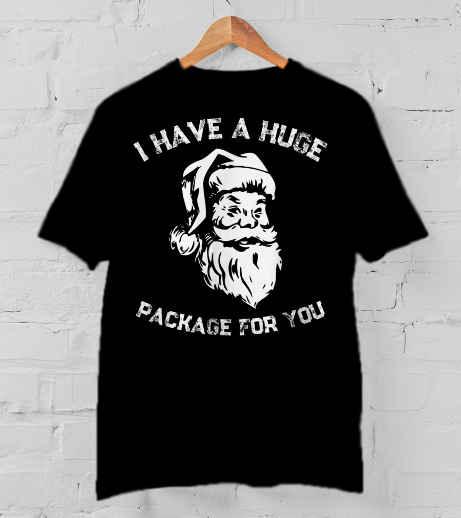 I Have A Huge Package For You Santa T-Shirt