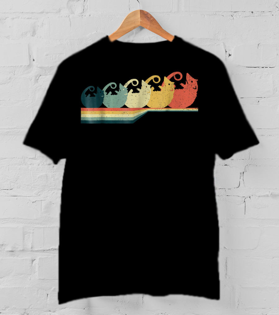 OPOSSUM Vintage Style Retro Rainbow T-Shirt