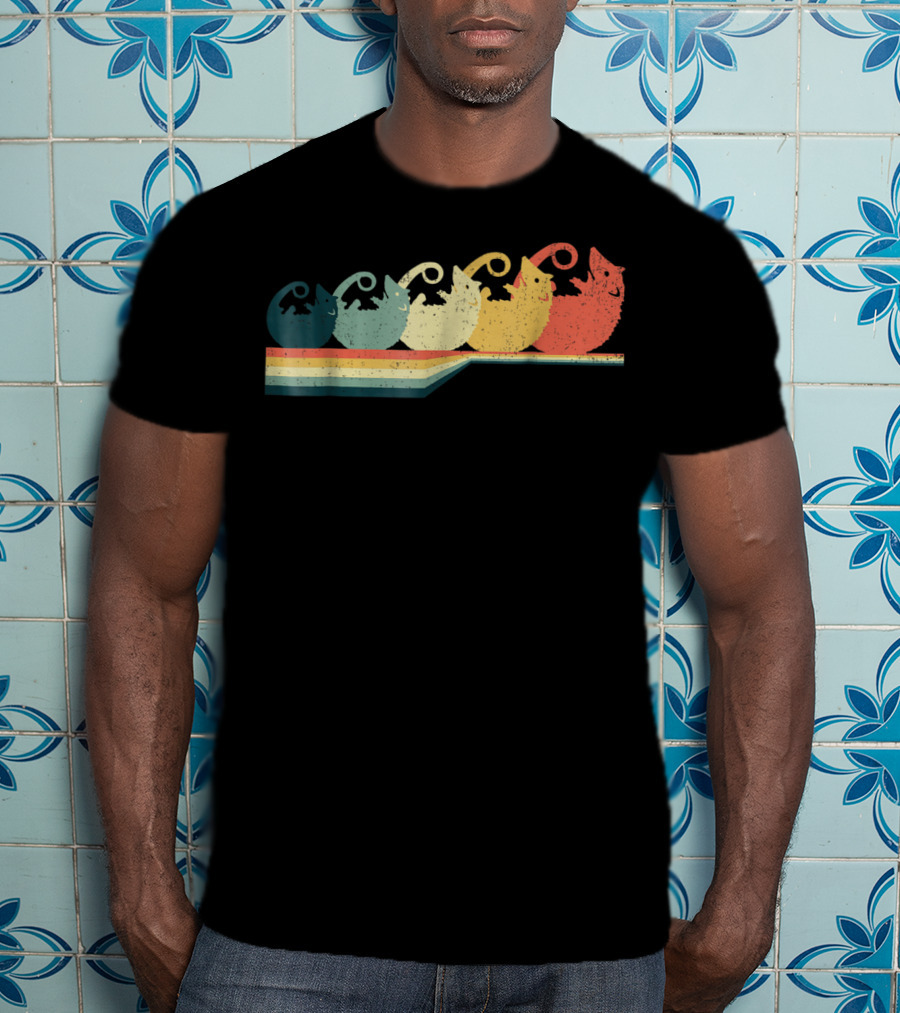OPOSSUM Vintage Style Retro Rainbow T-Shirt