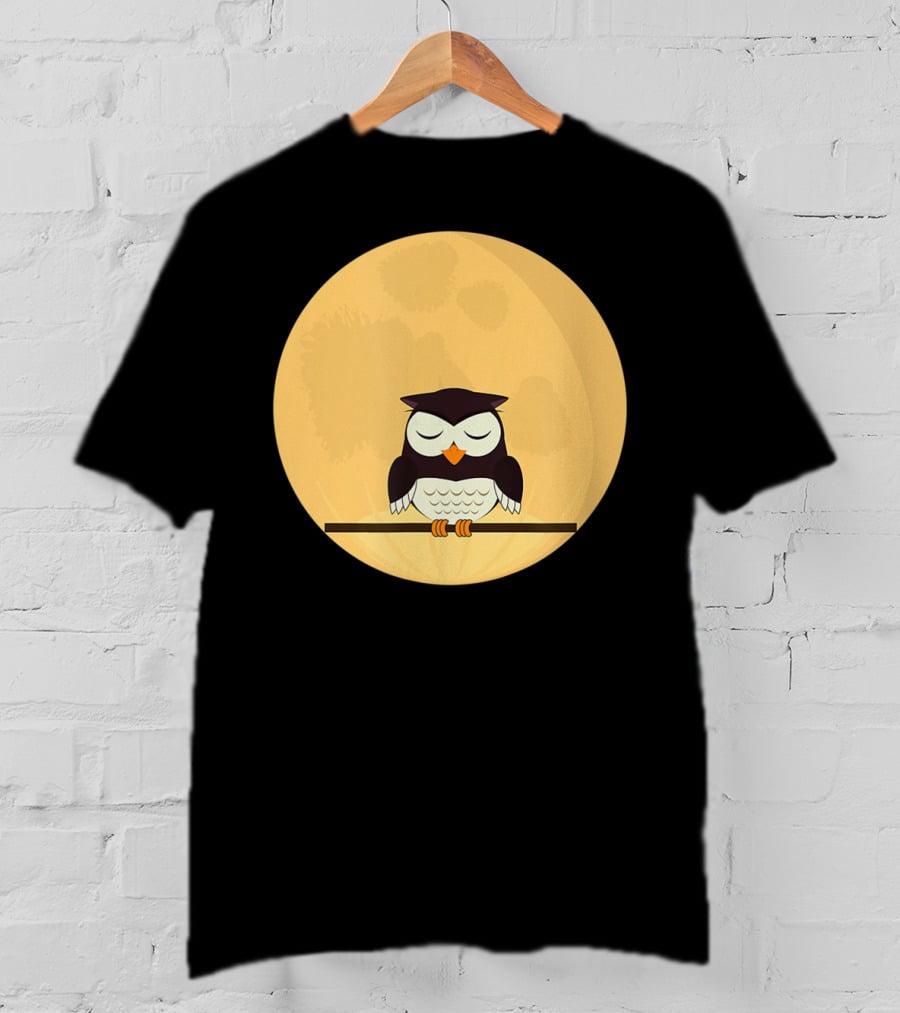 An Owl And The Full Moon Night Sky T-Shirt