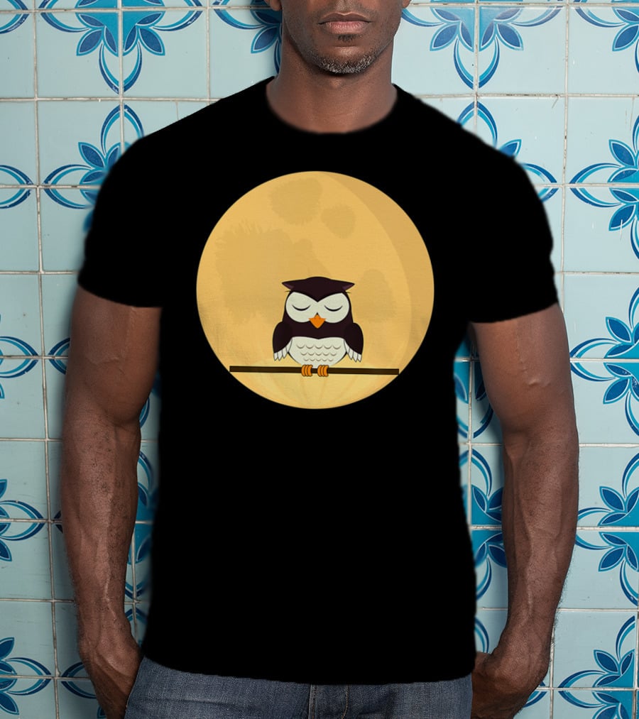 An Owl And The Full Moon Night Sky T-Shirt