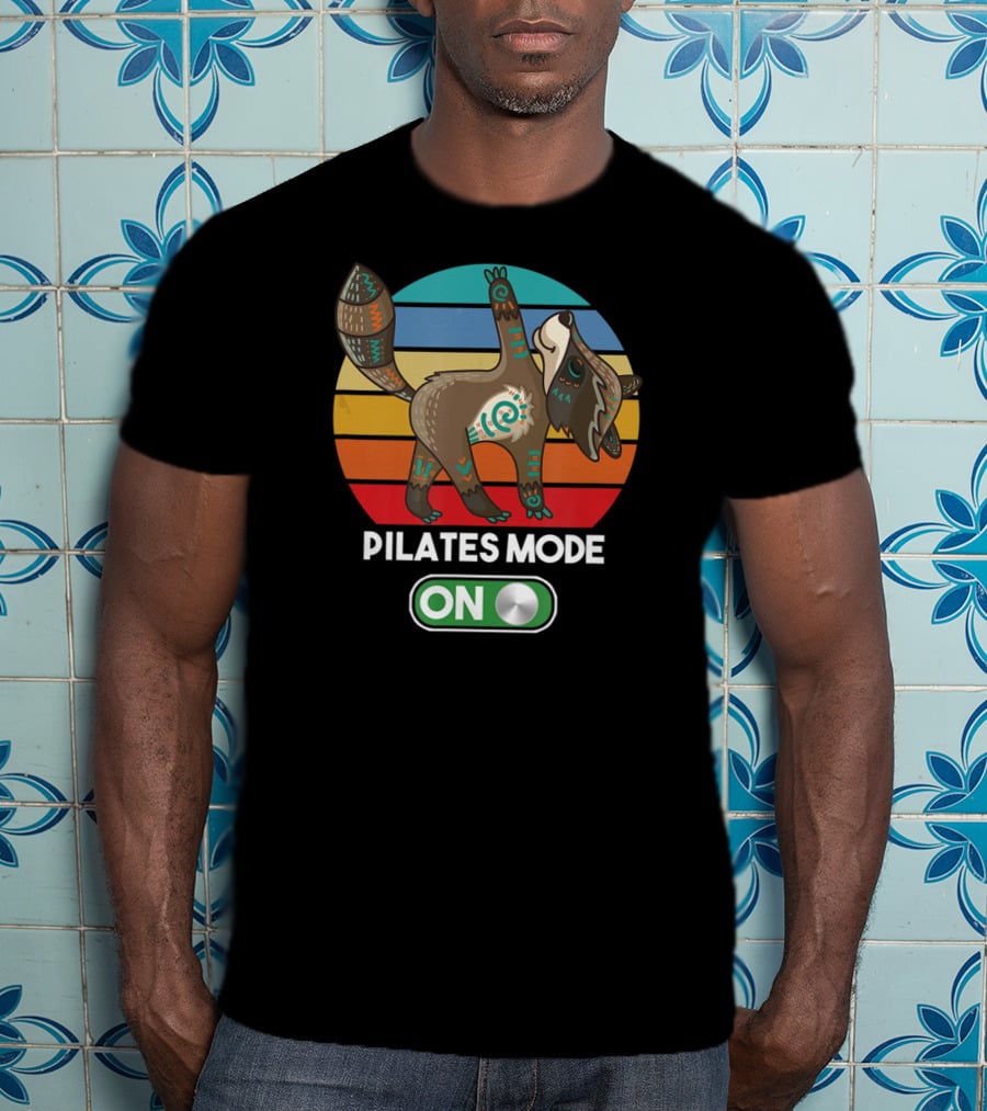 Pilates Mode On Cute Zen Raccoon Mandala Peace Mindfulness Yoga T-Shirt