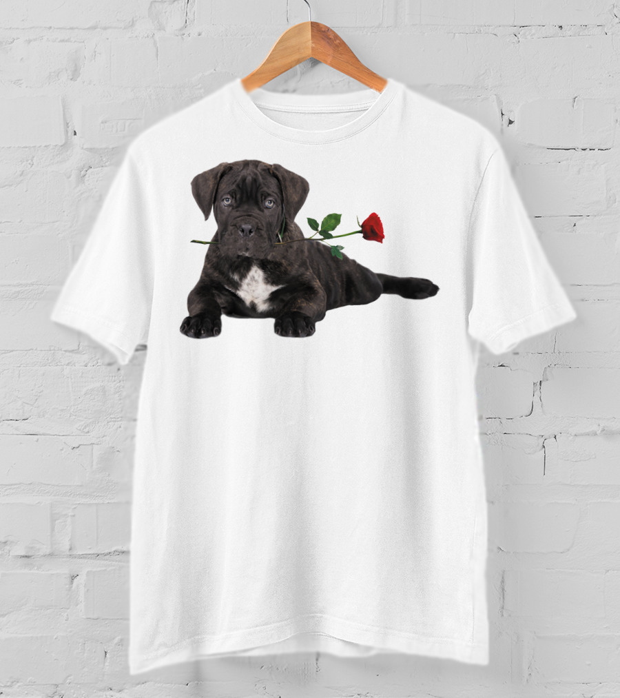 Cane Corso Puppy With A Red Rose In Mouth T-Shirt