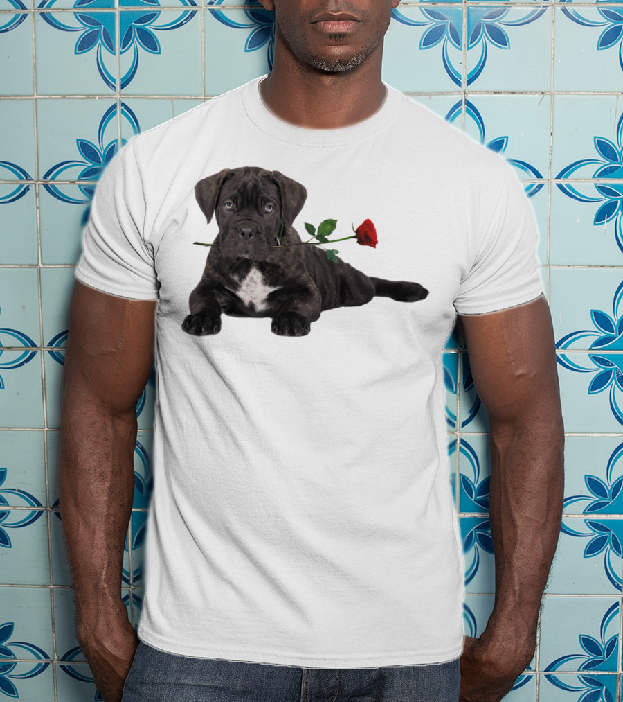Cane Corso Puppy With A Red Rose In Mouth T-Shirt