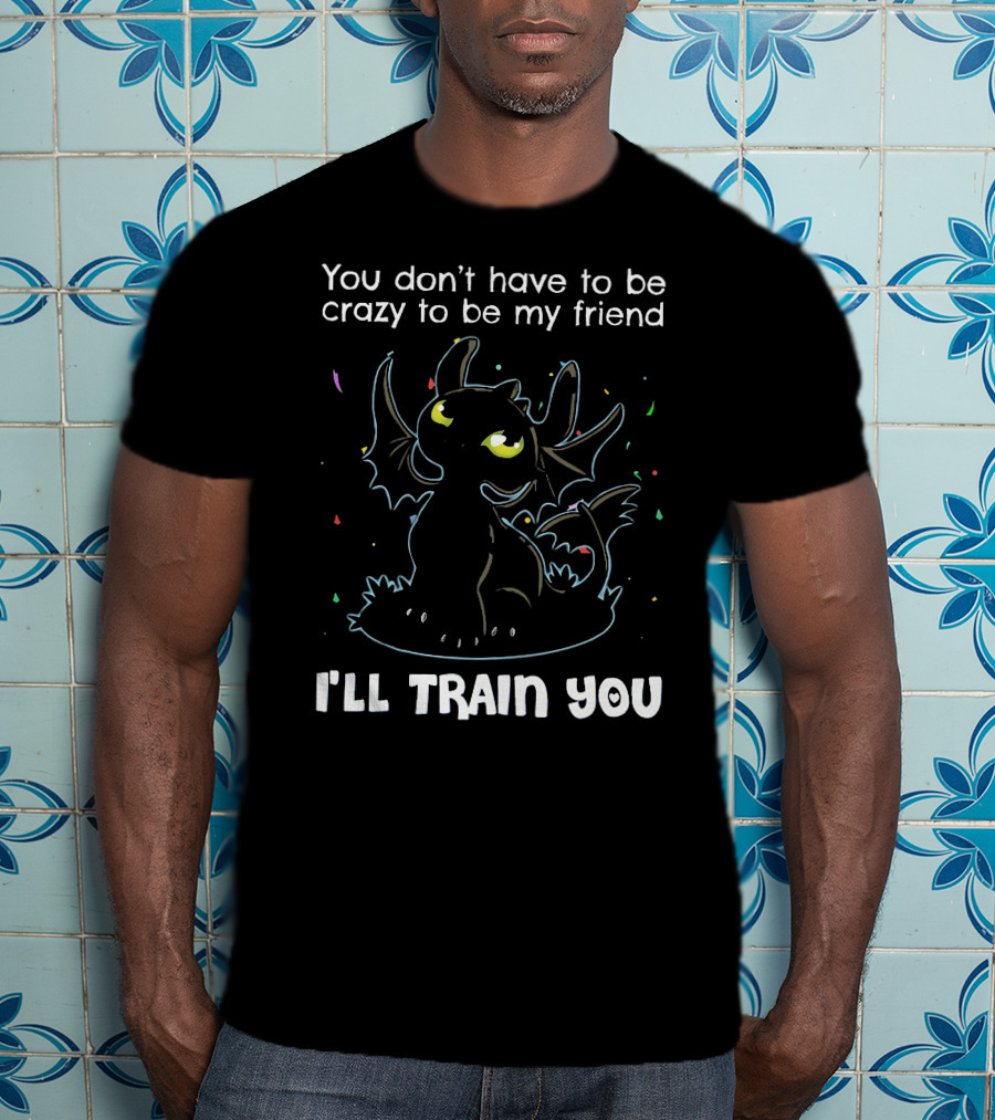 You Don't Have To Be Crazy To Be My Friend Toothless I'll Train You T-Shirt