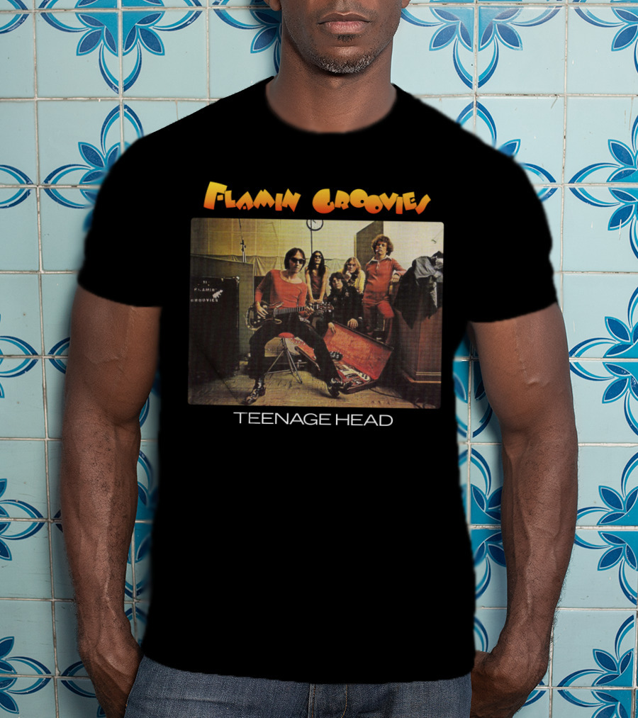 Flamin Groovies Teenage Head T-Shirt