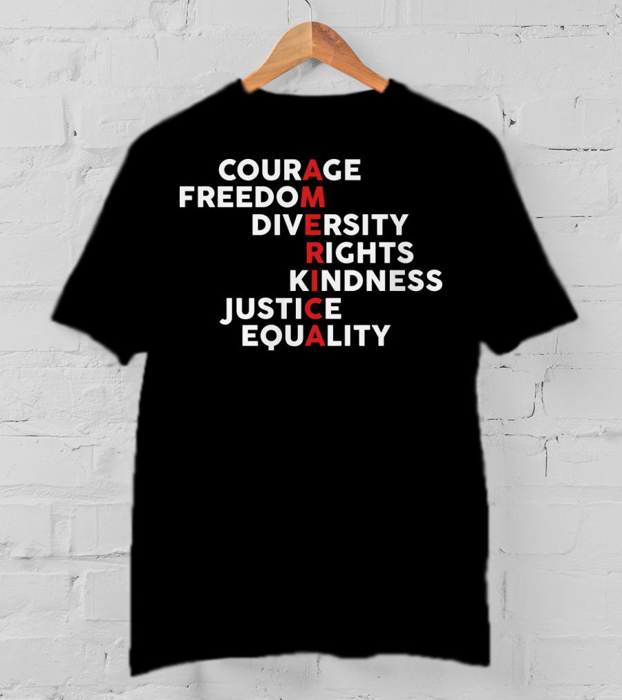 Courage Freedom Diversity Rights Kindness Justice Equality America T-Shirt