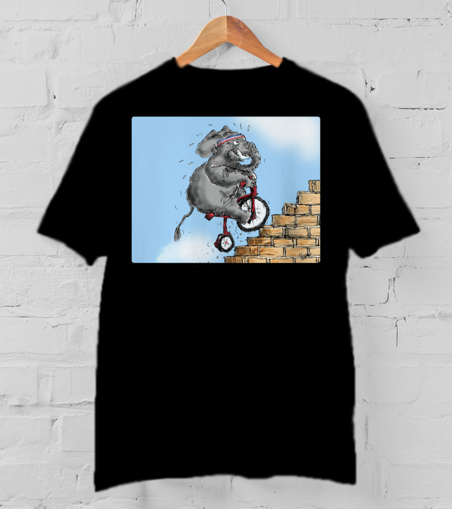 Challenge Accepted Elephant On Unicycle Climbing Stairs T-Shirt