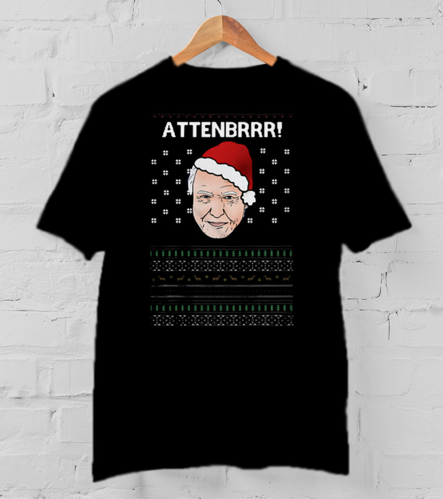 David Attenborough Attenbrrr Christmas Sweater Style Santa Hat Snowflakes T-Shirt