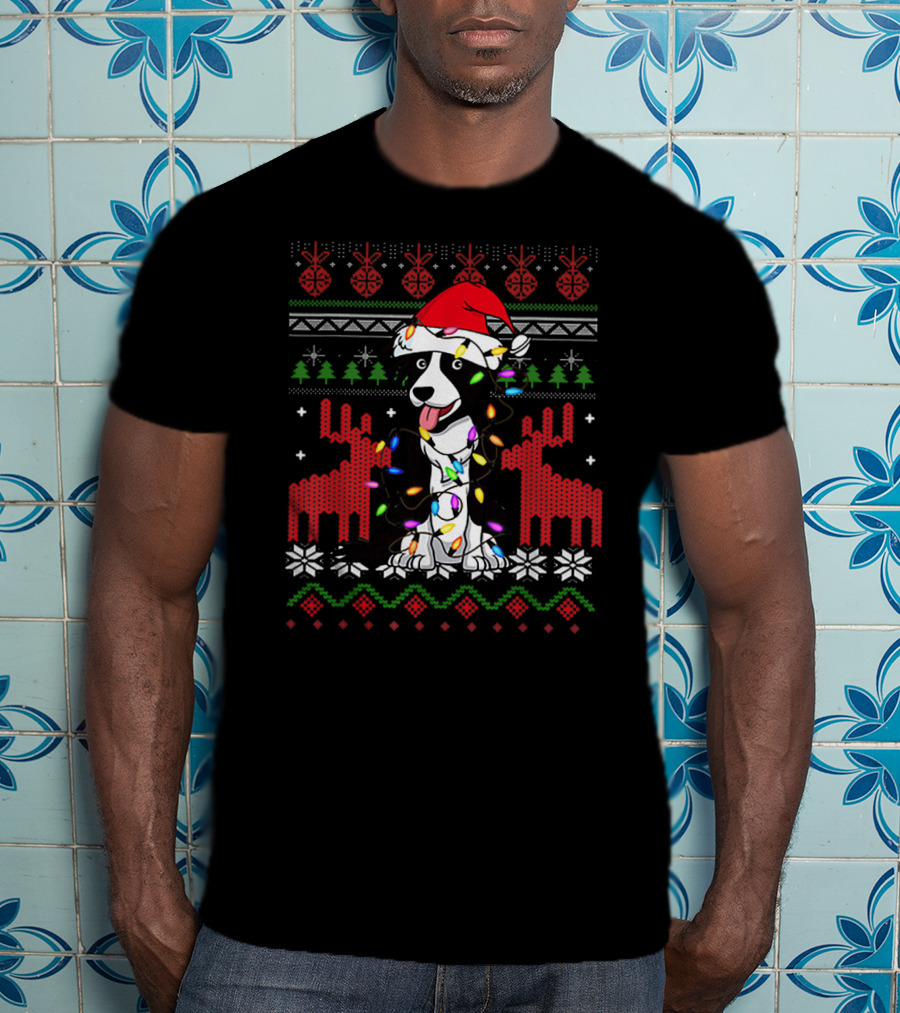 Border Collie Christmas Lights Santa Hat T-Shirt