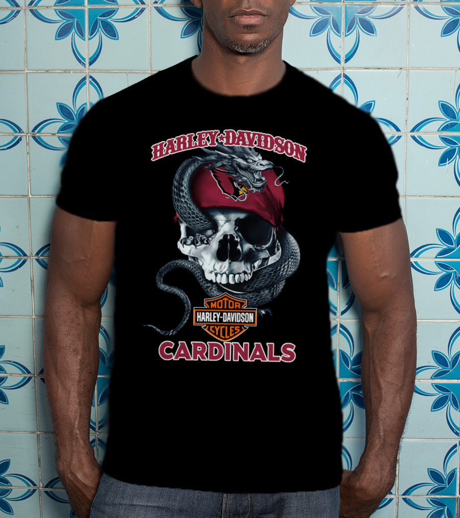 Harley Davidson Motorcycles Arizona Cardinals Skull Snake T-Shirt