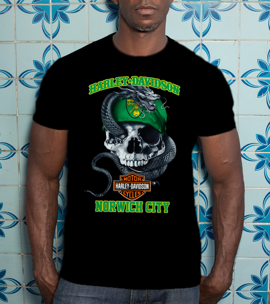 Harley Davidson Motor Cycles Skull Snake Norwich City T-Shirt
