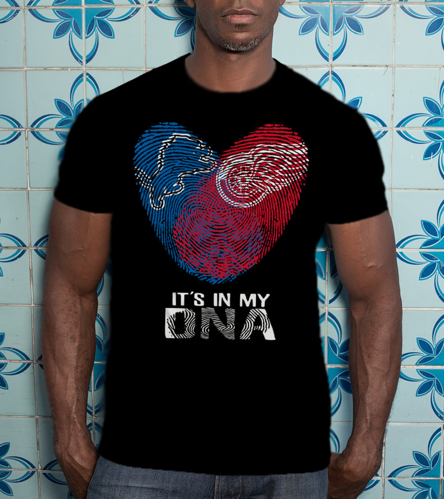 Lions Red Wings Heart It's In My DNA T-Shirt