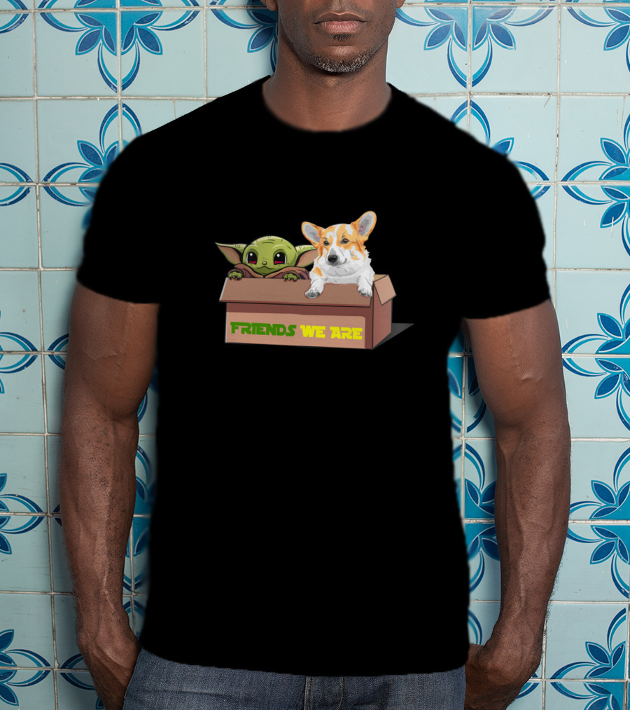 Baby Yoda Friends We Are Corgi In Box T-Shirt