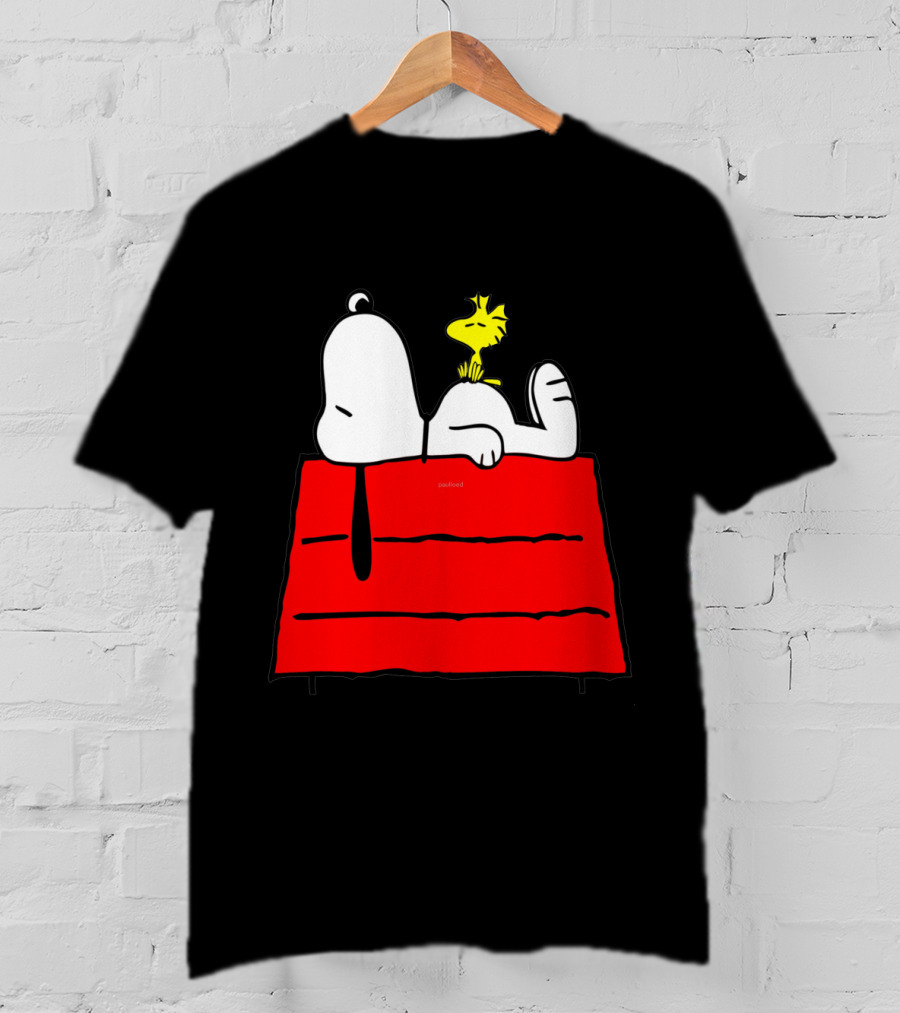Snoopy Sleeping On Red Doghouse With Woodstock T-Shirt
