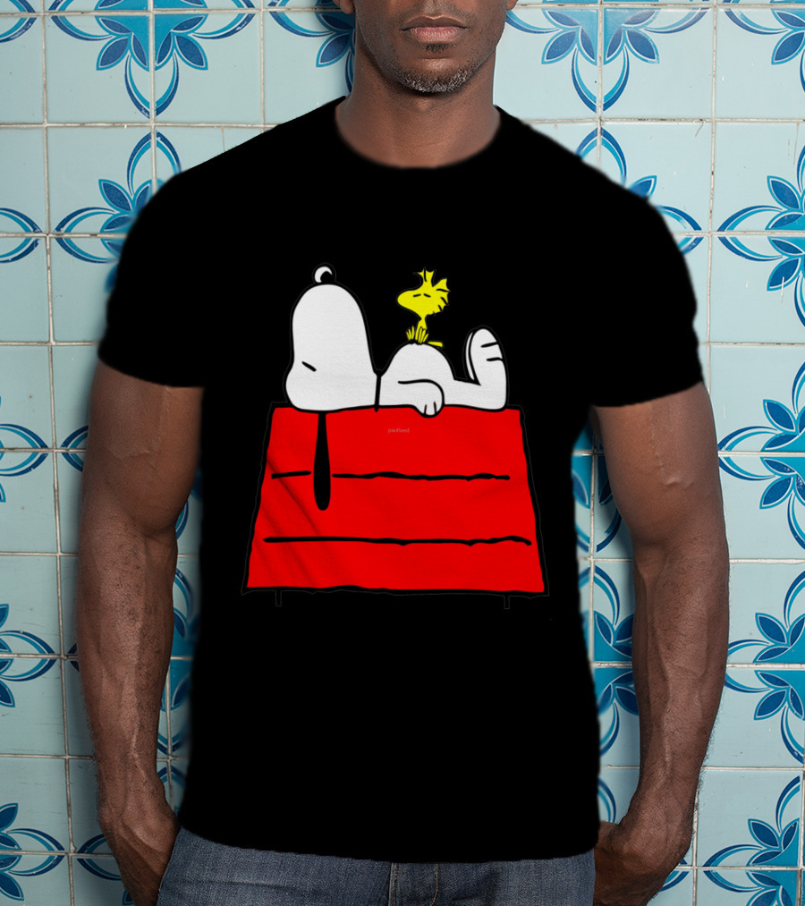 Snoopy Sleeping On Red Doghouse With Woodstock T-Shirt