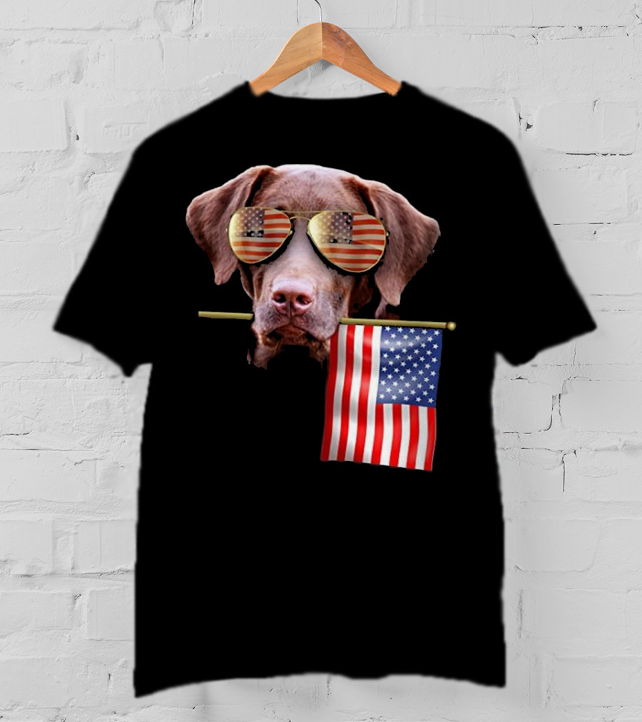 Pitbull Dog With American Flag Sunglasses And Flag T-Shirt