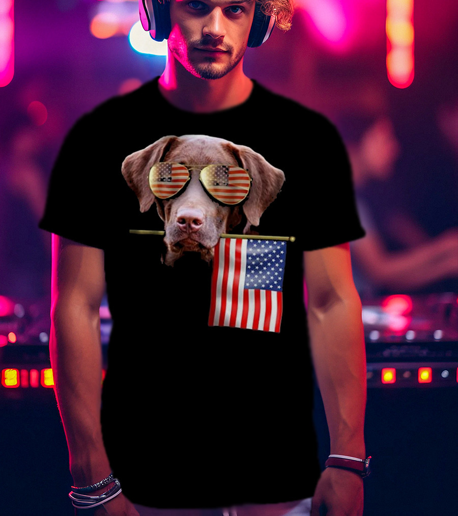 Pitbull Dog With American Flag Sunglasses And Flag T-Shirt