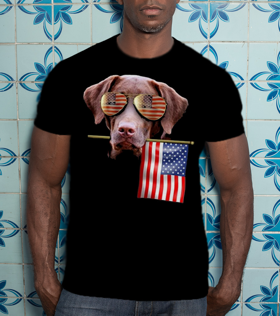 Pitbull Dog With American Flag Sunglasses And Flag T-Shirt