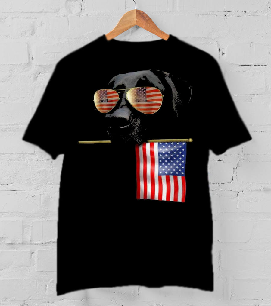 Patriotic Labrador With American Flag Shades Fourth Of July T-Shirt