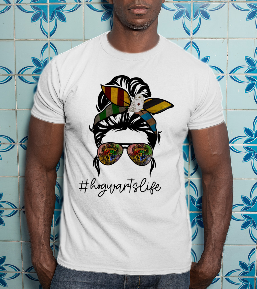 Hogwarts Life Wizarding World Style With House Colors And Owl T-Shirt