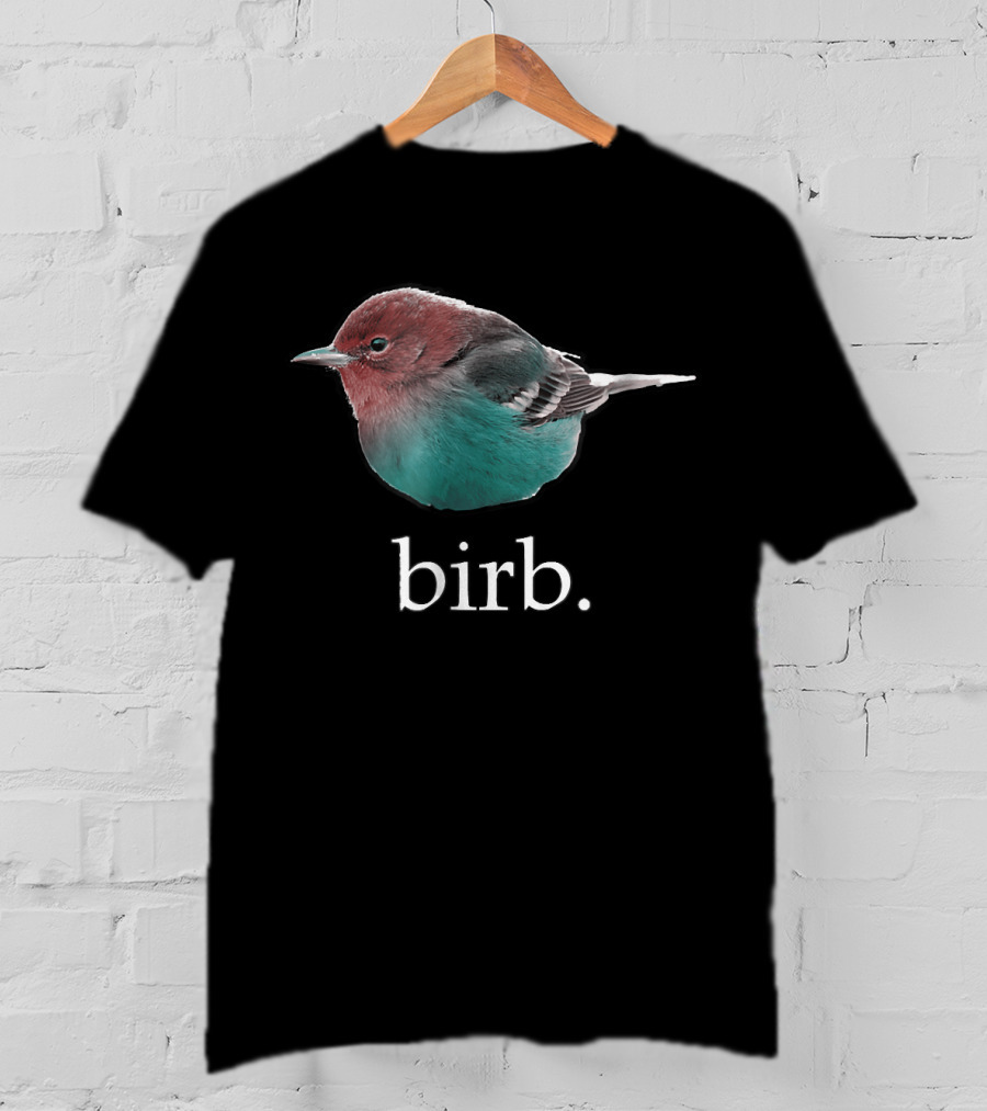 Birb Cute Bird Meme T-Shirt