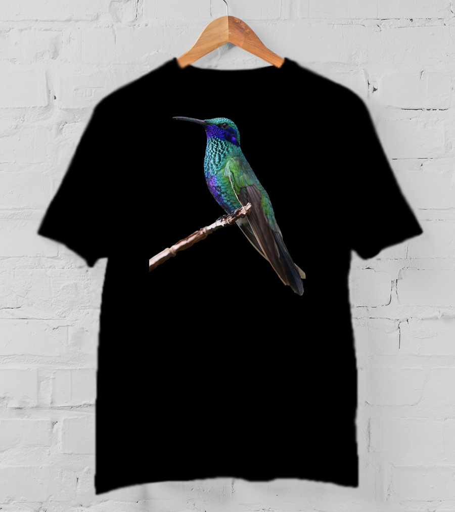 Hummingbird Bird Ornithology Vivid Green And Blue Perched Bird T-Shirt