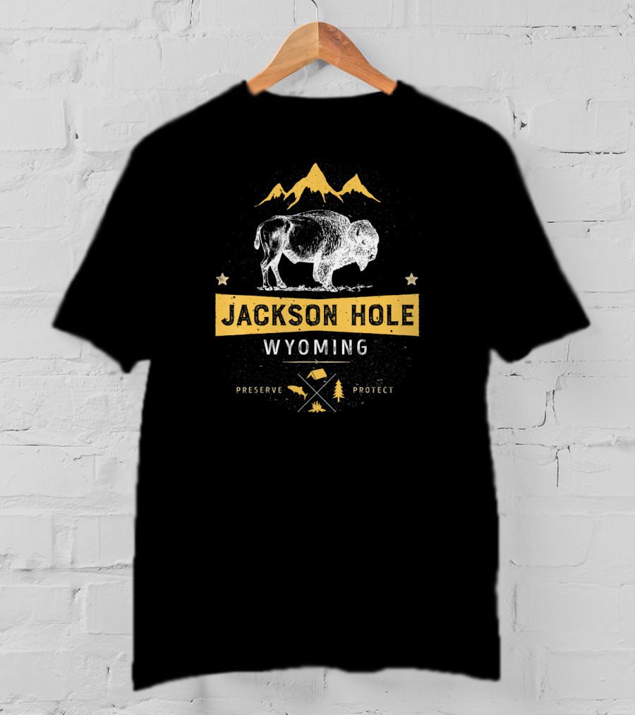 Jackson Hole Wyoming Vintage Bison Preserve Protect Mountain Elements T-Shirt