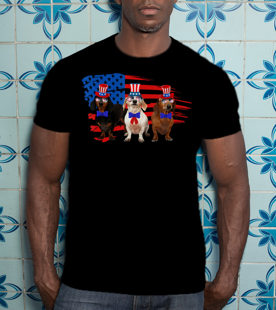 American Patriotic Dachshund Lover July Independence Day Trio T-Shirt