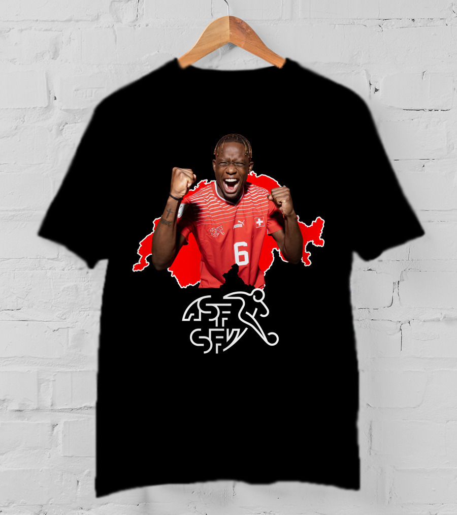 Denis Zakaria Switzerland Football Jersey Number 6 T-Shirt