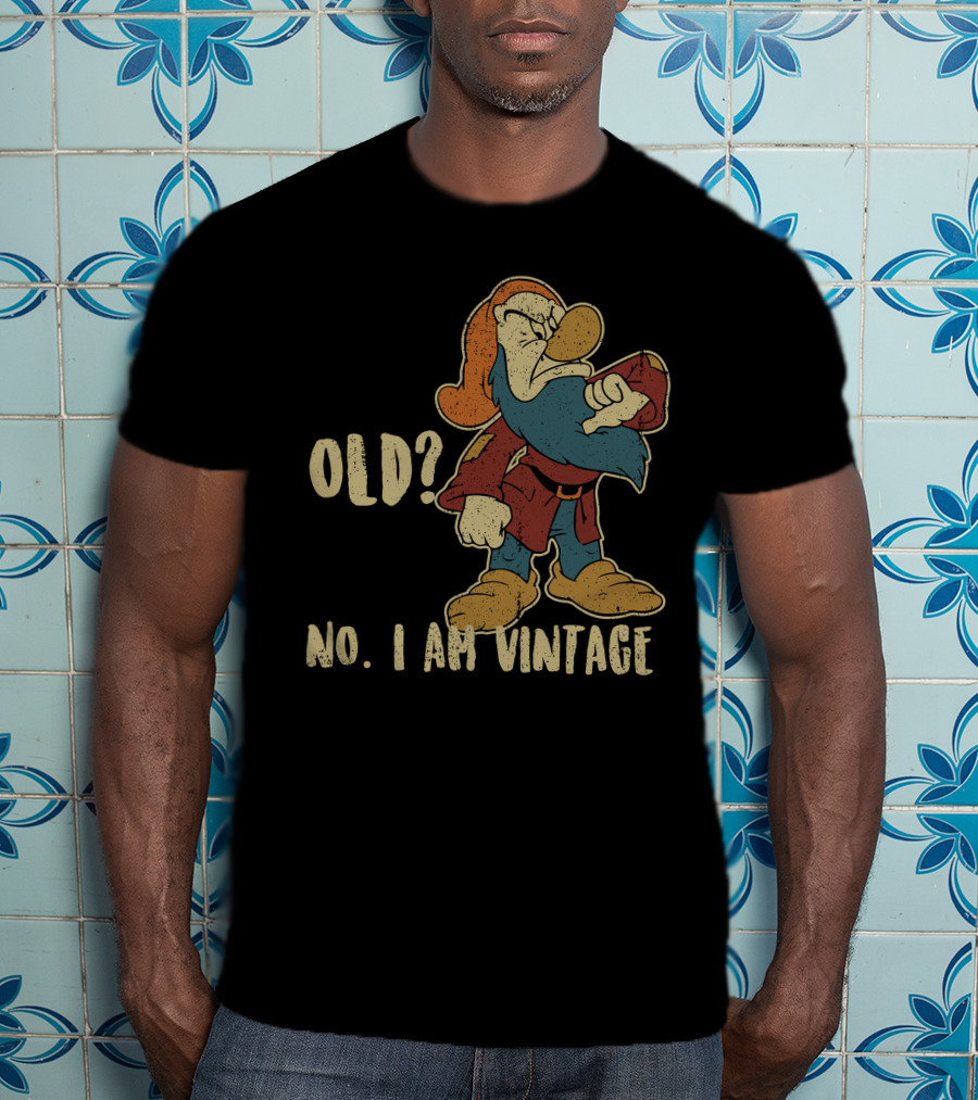 Grumpy Old? No. I Am Vintage T-Shirt