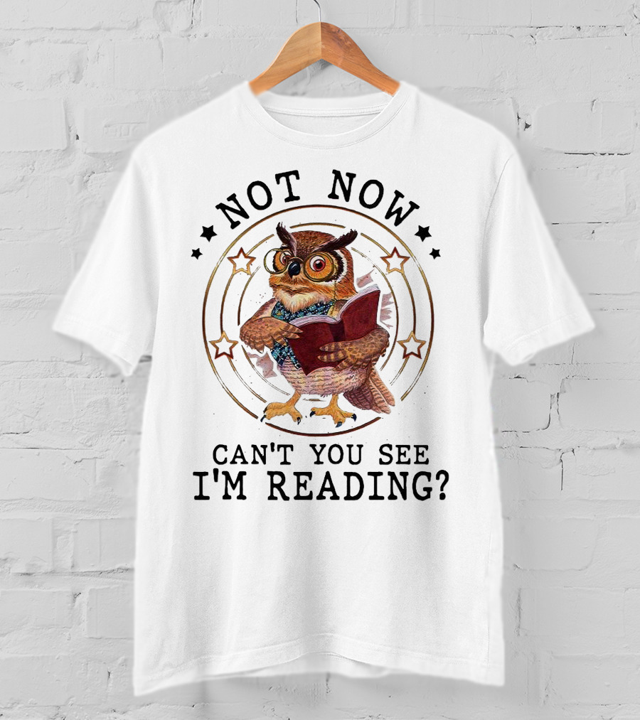 Not Now Can't You See I'm Reading Owl Wearing Glasses Holding Book T-Shirt