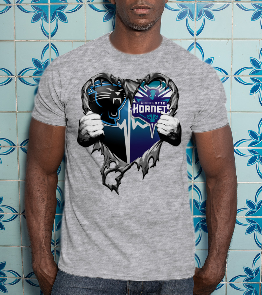 Carolina Panthers Charlotte Hornets Heart T-Shirt