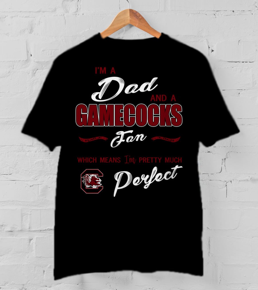 I'm A Dad And A Gamecocks Fan Which Means I'm Pretty Much Perfect T-Shirt