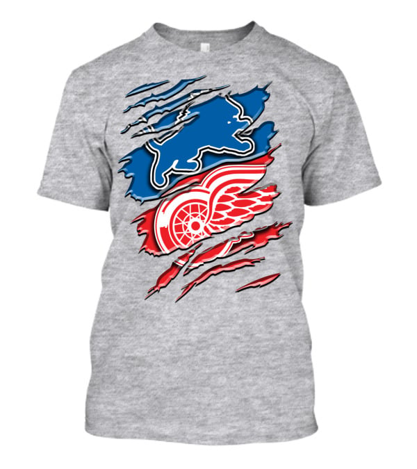 Detroit Red Wings Buffalo Sabres Vintage Mashup T-Shirt