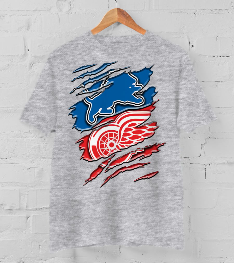 Detroit Red Wings Buffalo Sabres Vintage Mashup T-Shirt