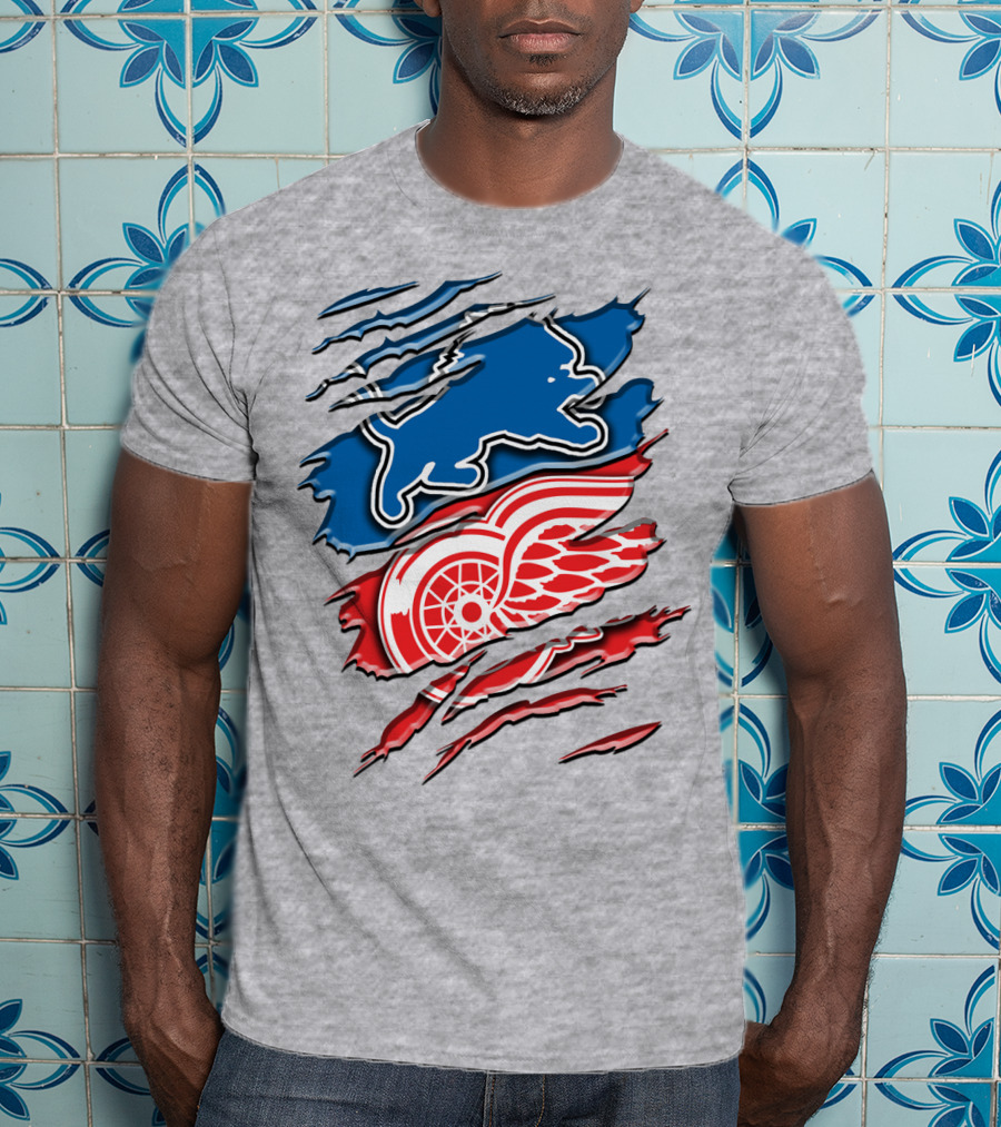 Detroit Red Wings Buffalo Sabres Vintage Mashup T-Shirt