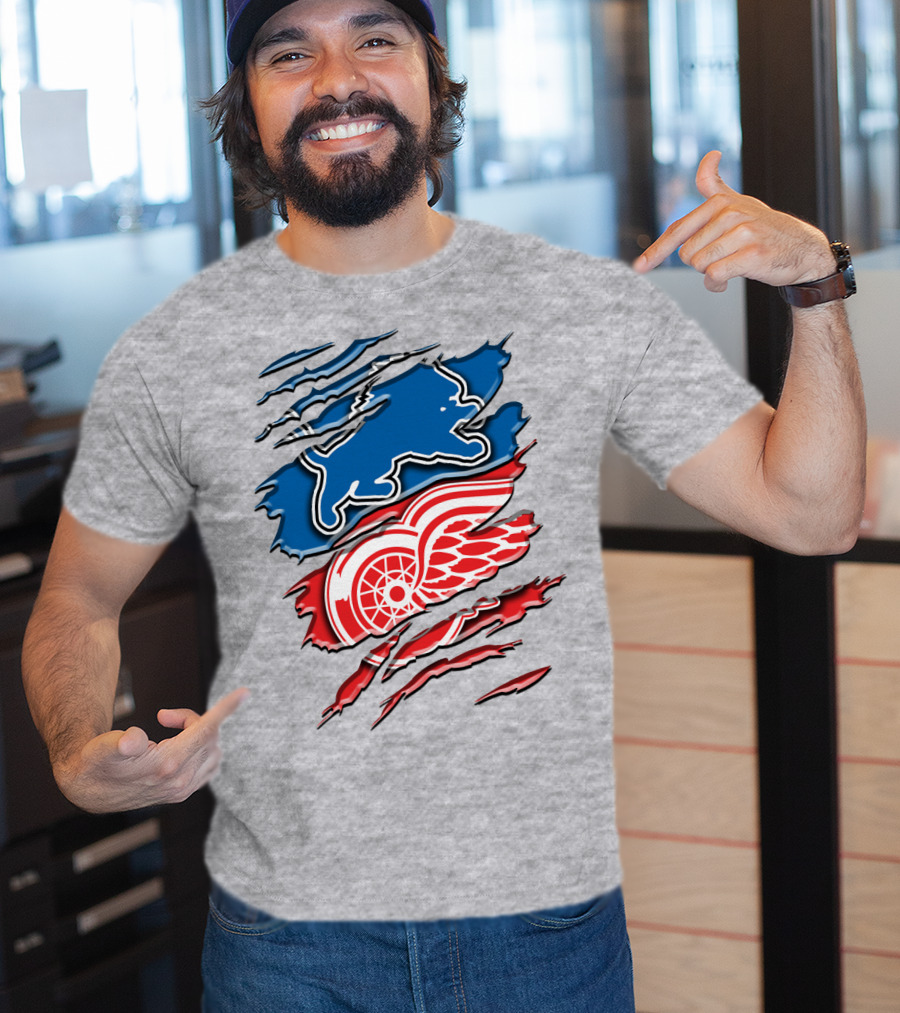 Detroit Red Wings Buffalo Sabres Vintage Mashup T-Shirt