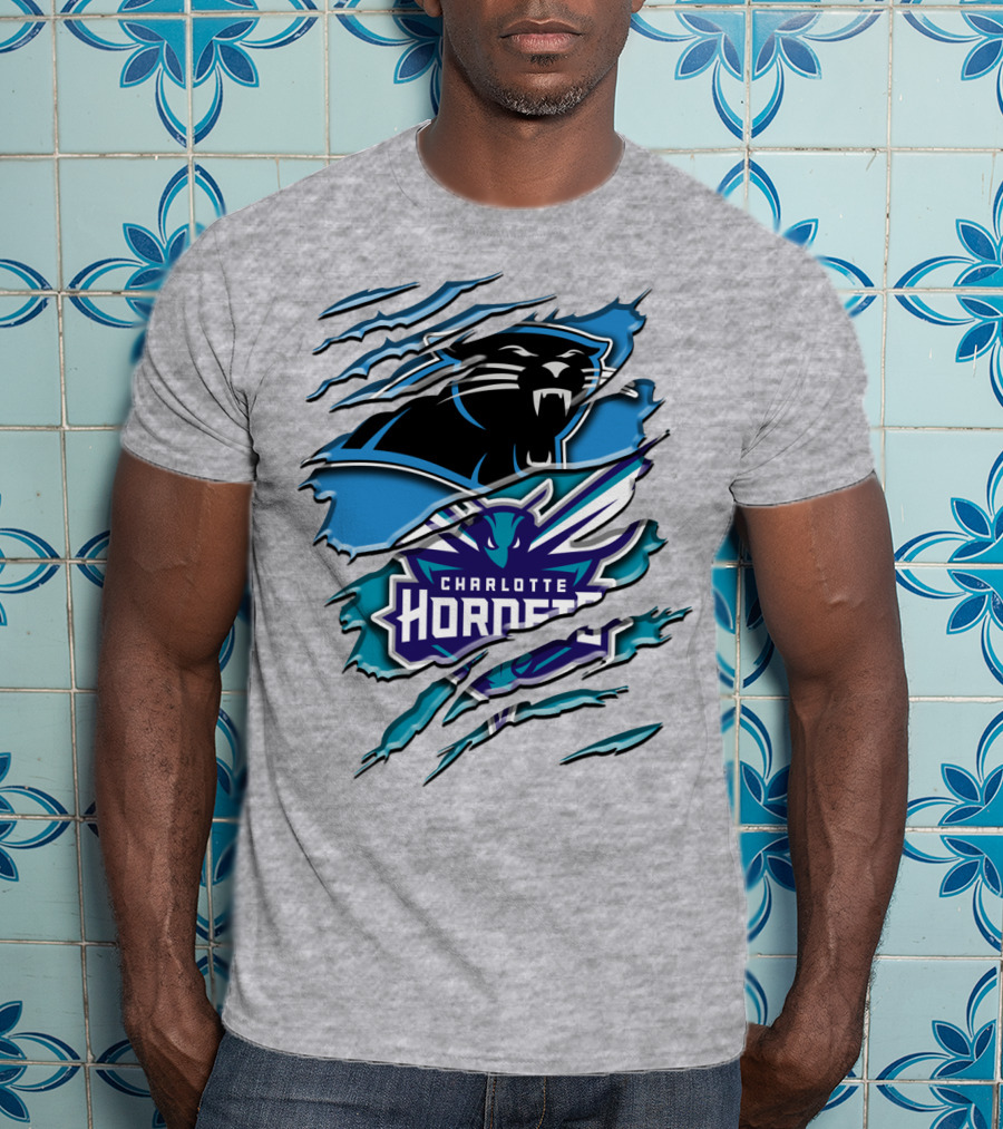 Panther And Charlotte Hornets Logo Rah T-Shirt