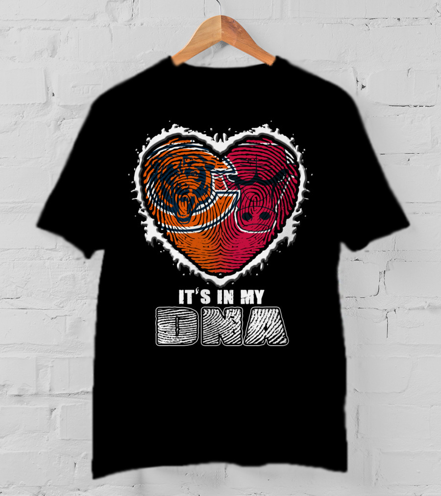 It's In My Dna Bears And Bulls Heart T-Shirt
