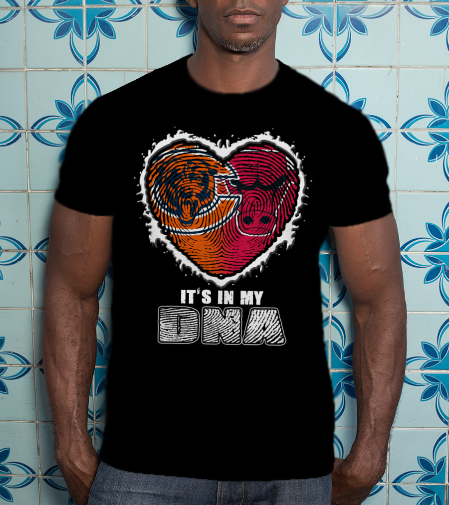 It's In My Dna Bears And Bulls Heart T-Shirt