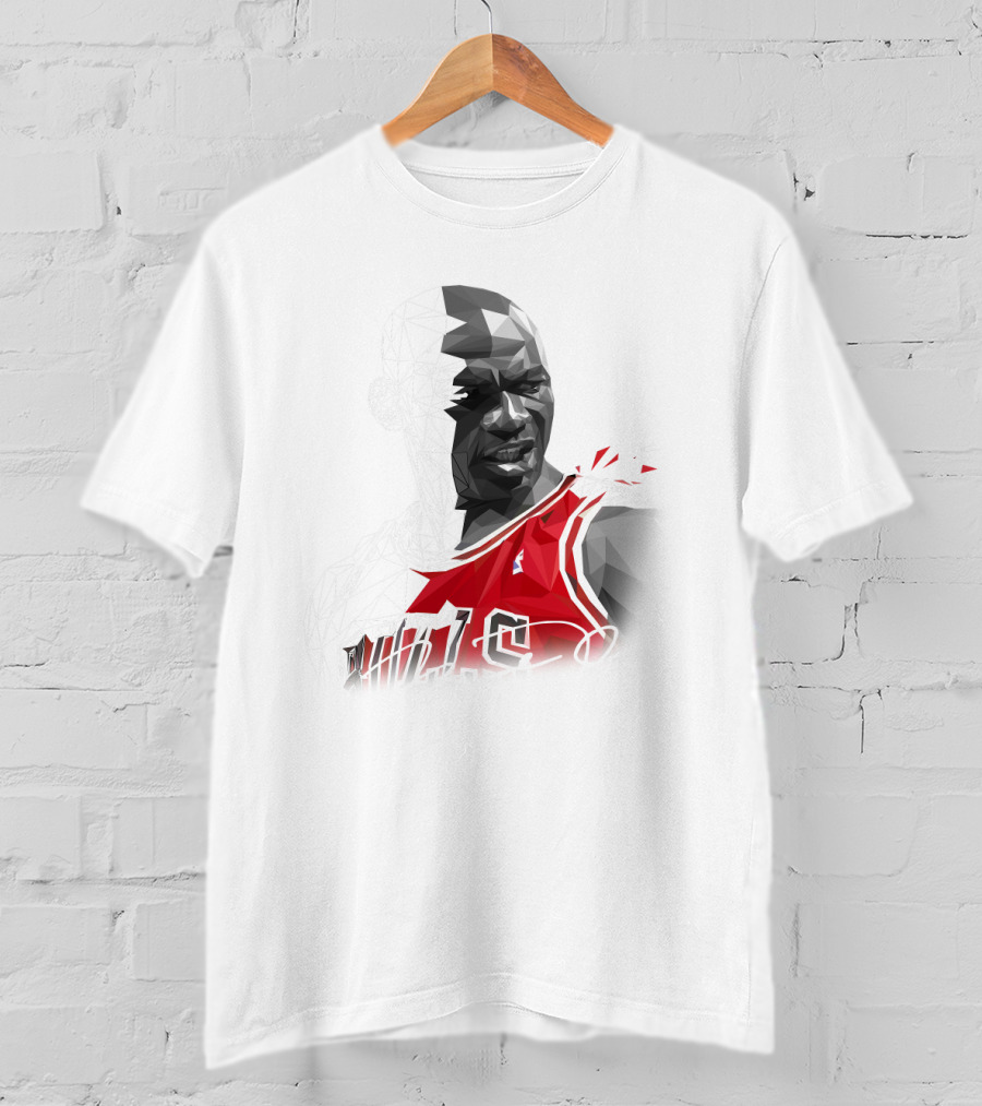 The Last Dance Jordan Bulls #23 Air Jordan Signature T-Shirt