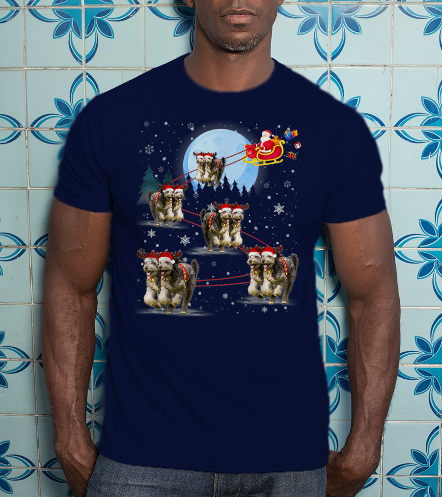 Funny Reindeer Santa With Dogs Pulling Sleigh By Moonlight T-Shirt