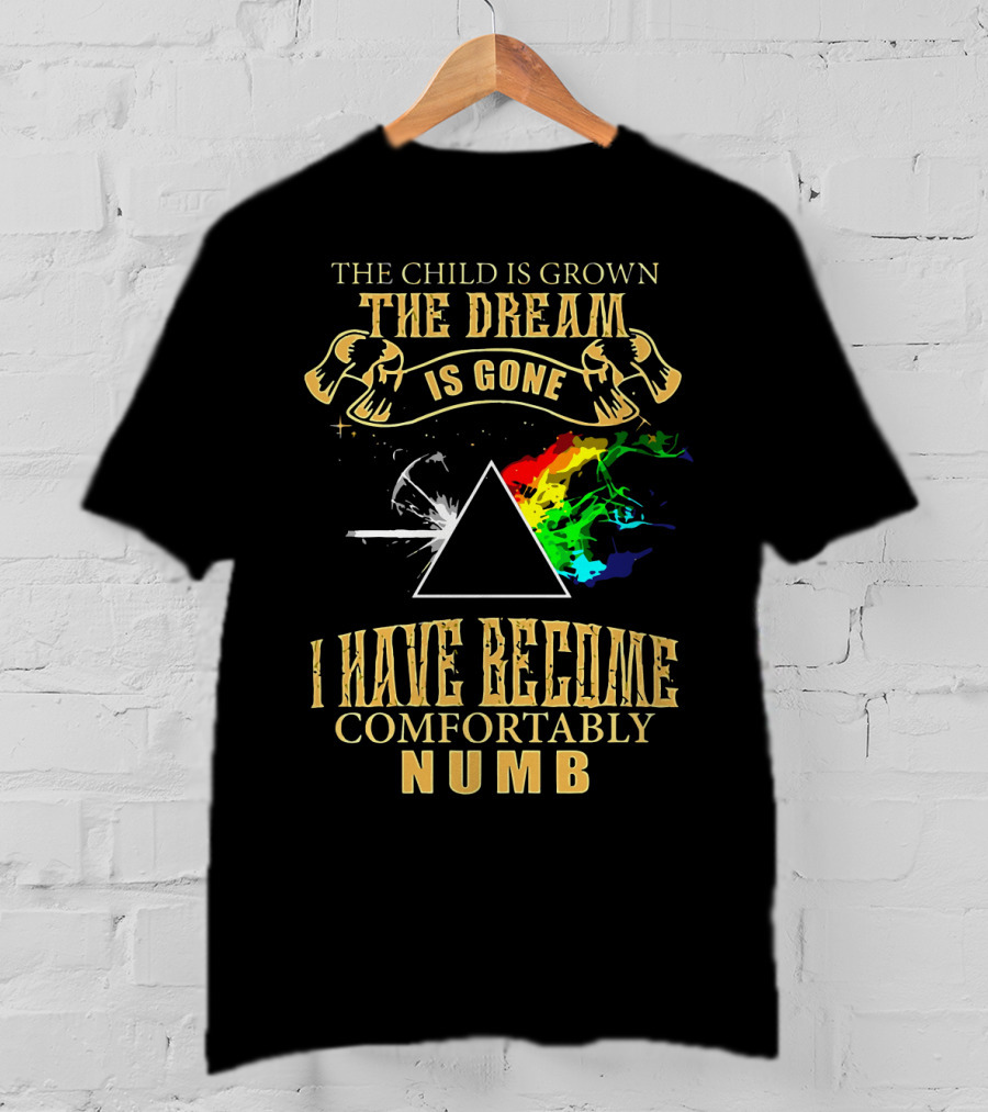 The Child Is Grown The Dream Is Gone Comfortably Numb Triangle Spectrum T-Shirt