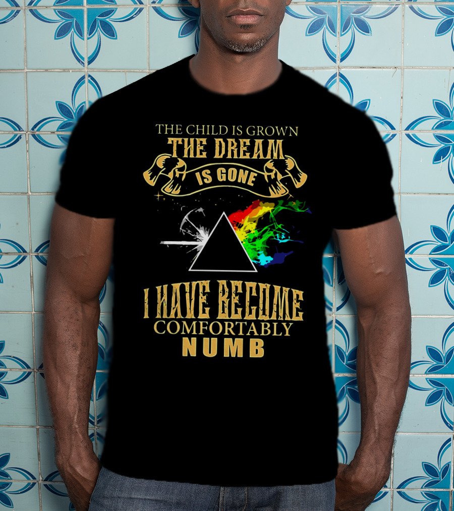 The Child Is Grown The Dream Is Gone Comfortably Numb Triangle Spectrum T-Shirt