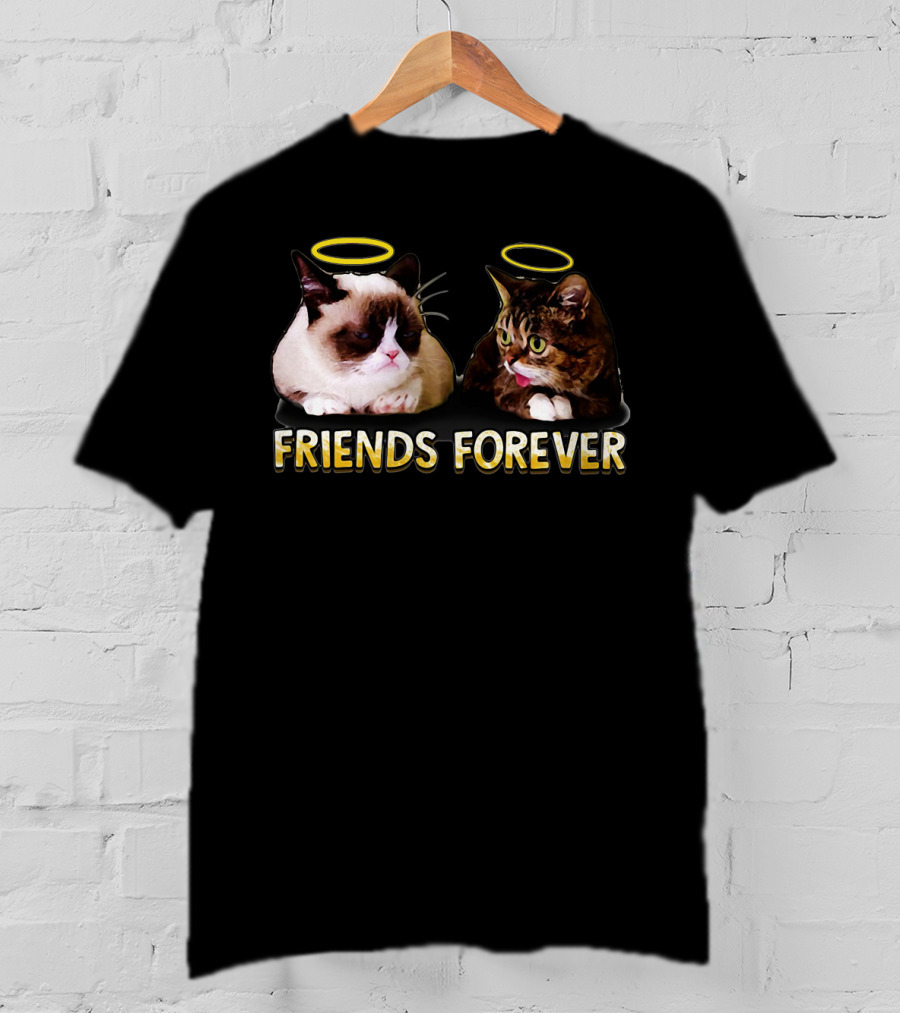 Grumpy Lil Bub Friends Forever T-Shirt