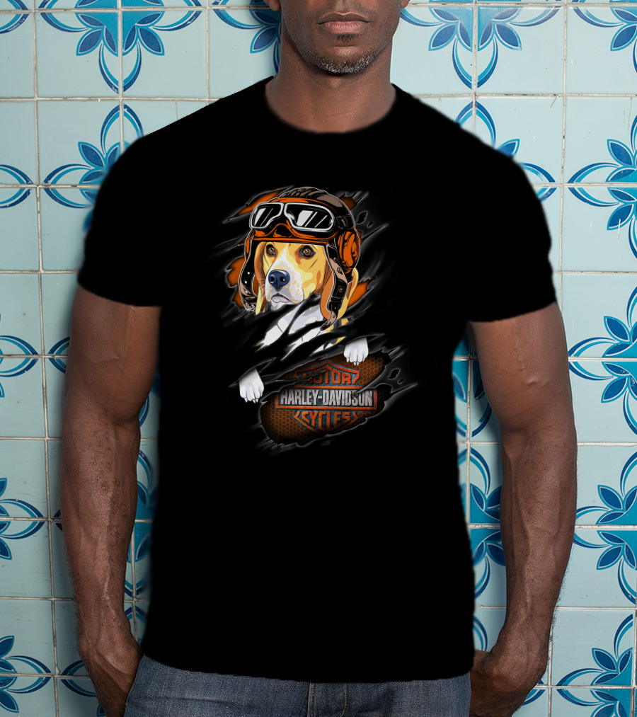 Beagle Wearing Aviator Helmet With Harley Davidson Cycles T-Shirt