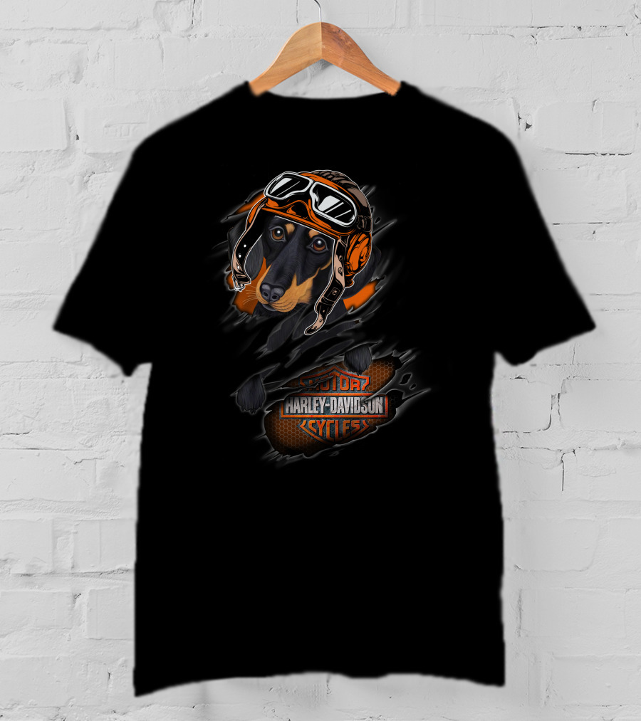 Dachshund Wearing Motorcycle Helmet With Harley Davidson Cycles T-Shirt