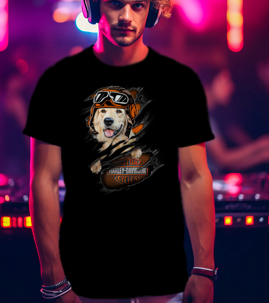 Golden Retriever Wearing Biker Helmet With Harley Davidson Motorcycles T-Shirt